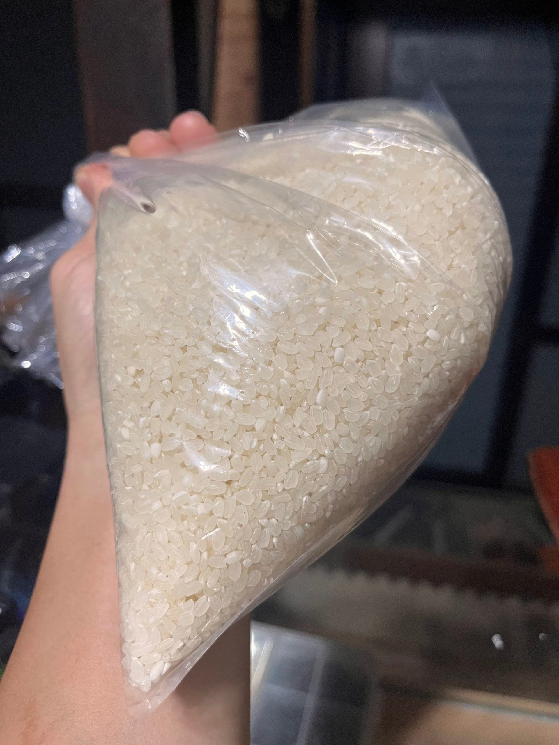 甑島の米