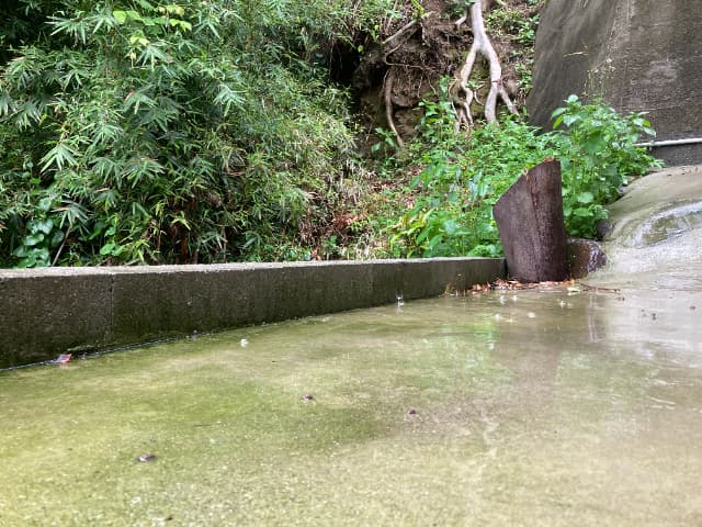 甑島雨の画像