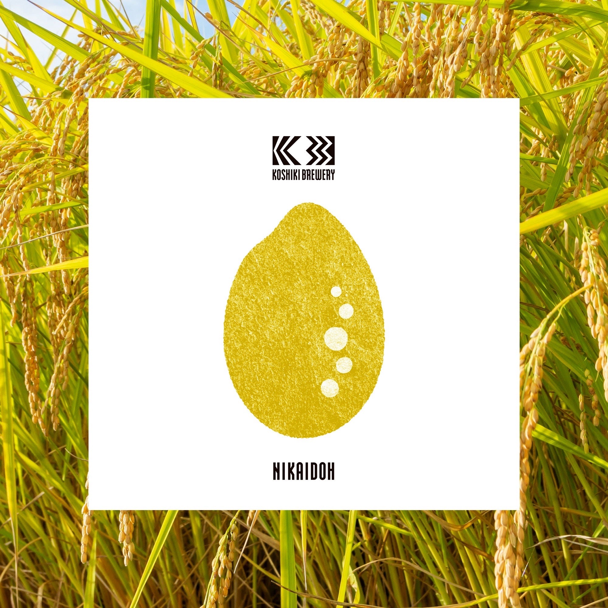 KOSHIKIBREWERY-mainproduct