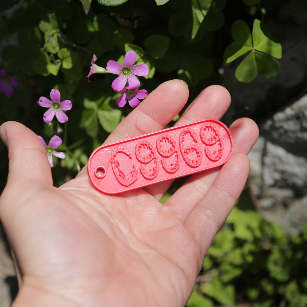 09969のロゴが立体的に彫られた赤の楕円型キーホルダー。シンプルでコンパクトなデザインが特徴の、甑島オリジナルグッズの画像１